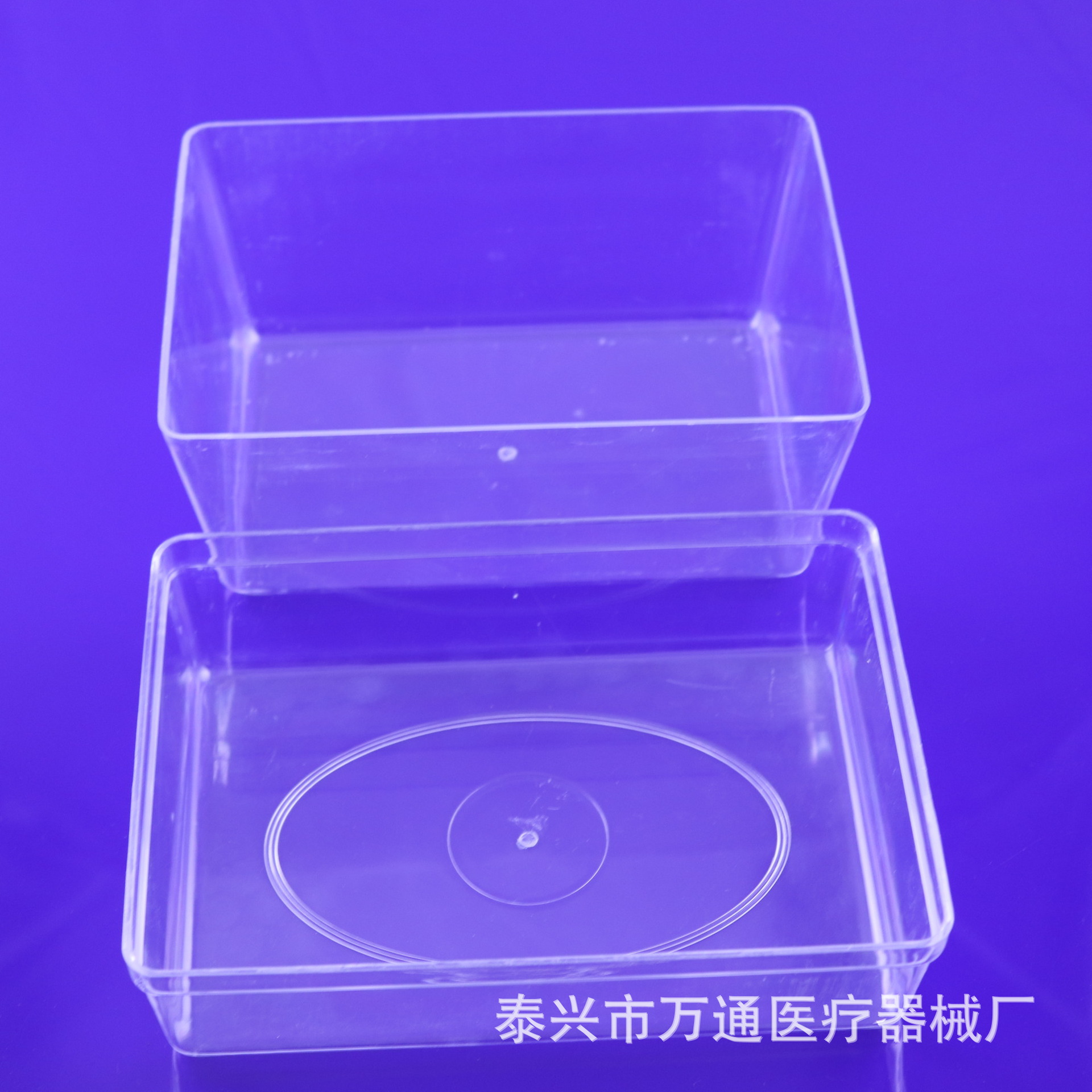植物组织培养盒 19×13×12CM 种子发芽盒塑料培养皿透明盒育苗盒